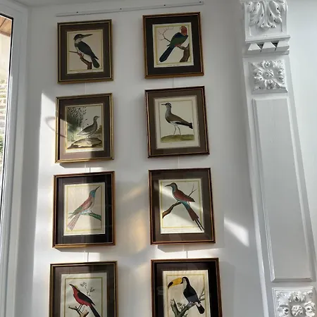 Les Flobarts - Grande Maison De Famille En Centre A 50m De La Baie Σπίτι διακοπών Saint-Valery-sur-Somme